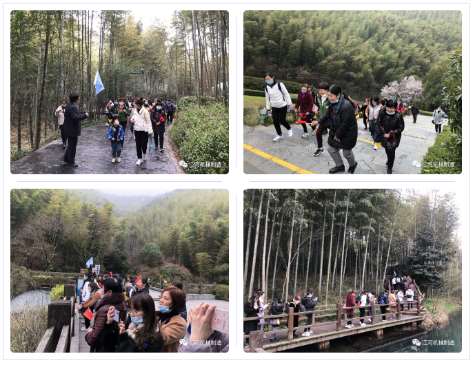 江苏91抖音在线女神节的旅游纪录